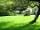 Church Stile Farm Holiday Park: Tent pitches are large and flat