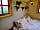 The Shepherd's Loft: Bedroom area. Full size double bed (photo added by manager on 31/05/2022)