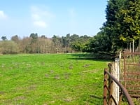 Camping Field Camping Field