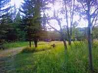 Peaceful woodland space Peaceful woodland space