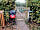 Polstead Country Park