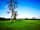 Gramp's Field: Book with us today for your next camping trip!