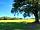 Warbleton Farms Campsite: Brooks # 4