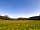 Runnis Meadow Camping: View of the site (photo added by manager on 29/07/2022)
