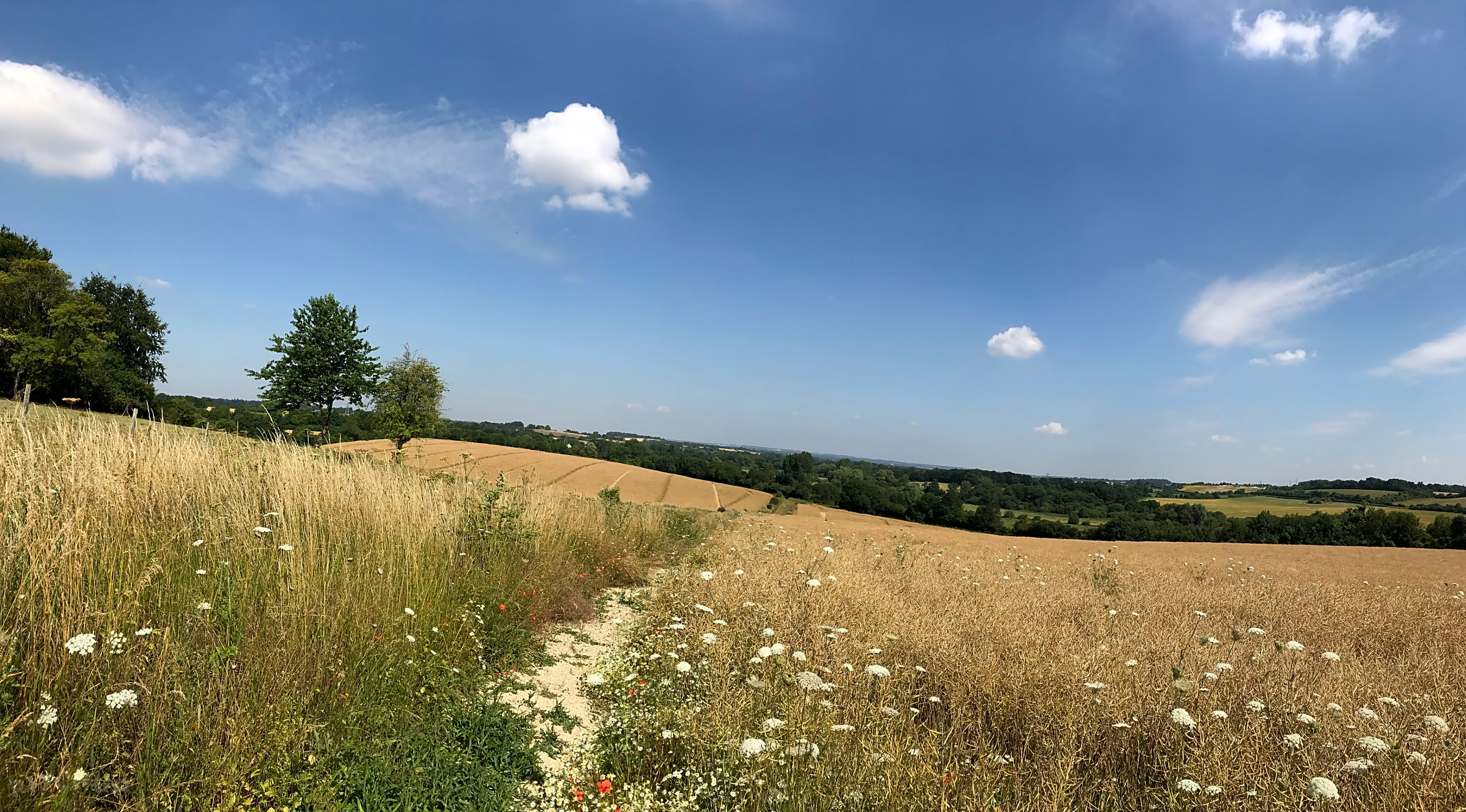 Rowbury Farm Camping, Andover Updated 2020 prices Pitchup®