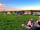 Aylesmore Farm Campsite: Family-friendly site (photo added by manager on 11/05/2022)