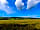 Ashcombe Woodland Campsite: Blue skies