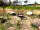 Duncombe Farm: Firepit (photo added by  on 07/08/2020)