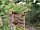 Beirhope Alpacas: Entrance to the woodland camping pitch at Beirhope Alpacas (photo added by manager)
