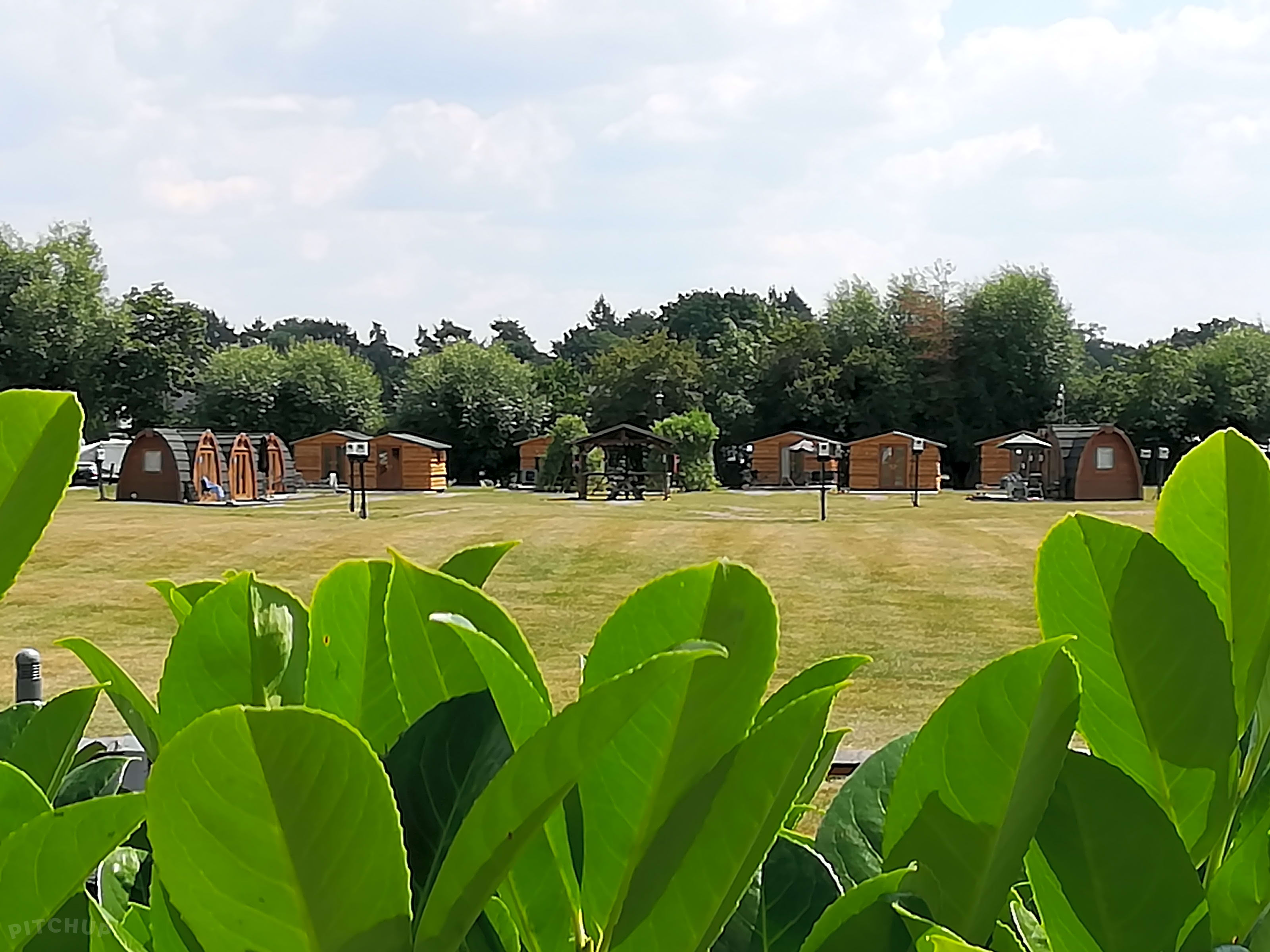 Stratford incontri