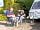 Lomond Woods Holiday Park: Lomond Woods Holiday Park | Touring Caravan Pitches