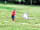 Teifi Meadows: My son enjoying the big field, perfect to run round with his kite