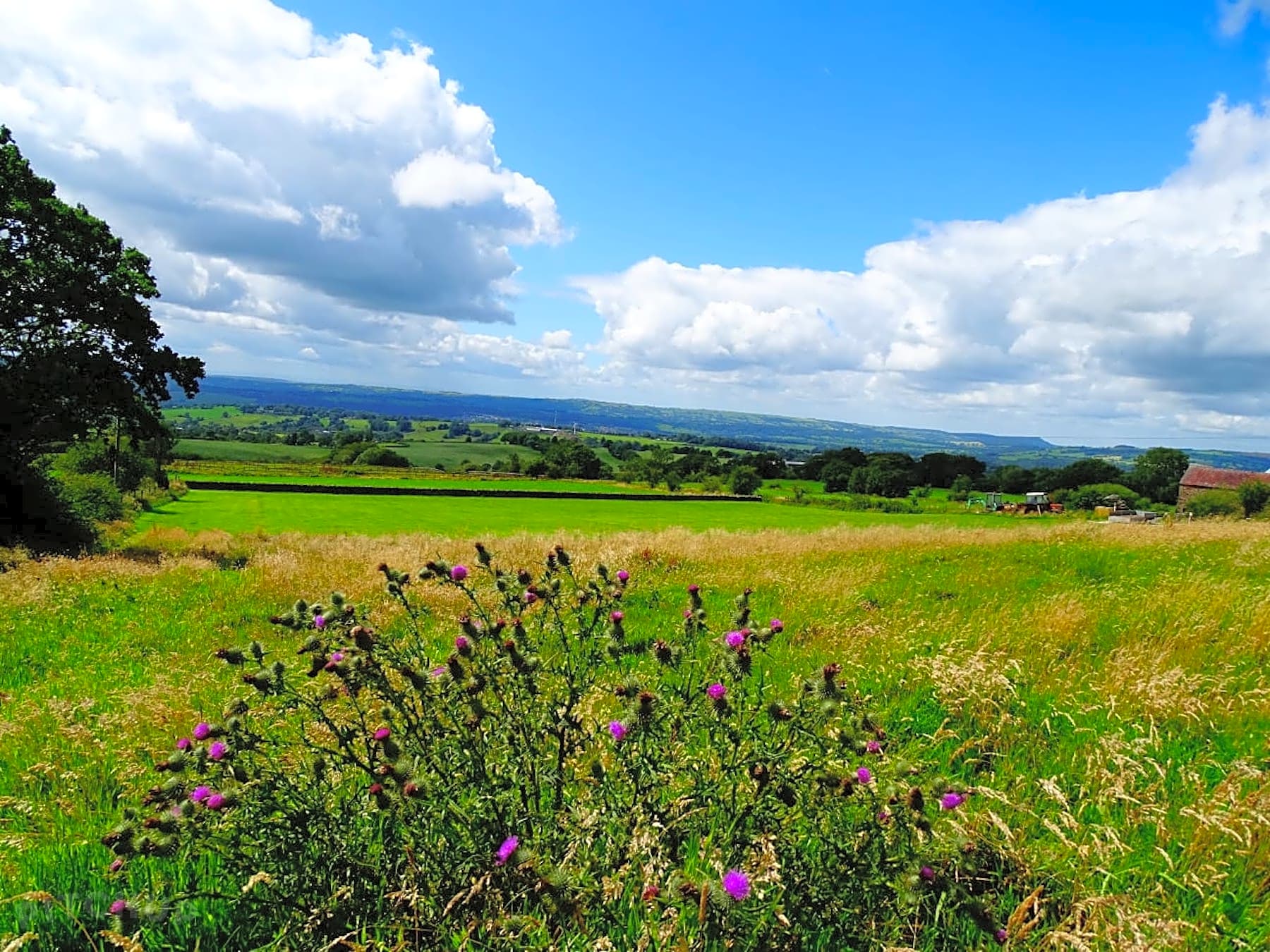 Wellington Farm, Leek Updated 2021 prices Pitchup®