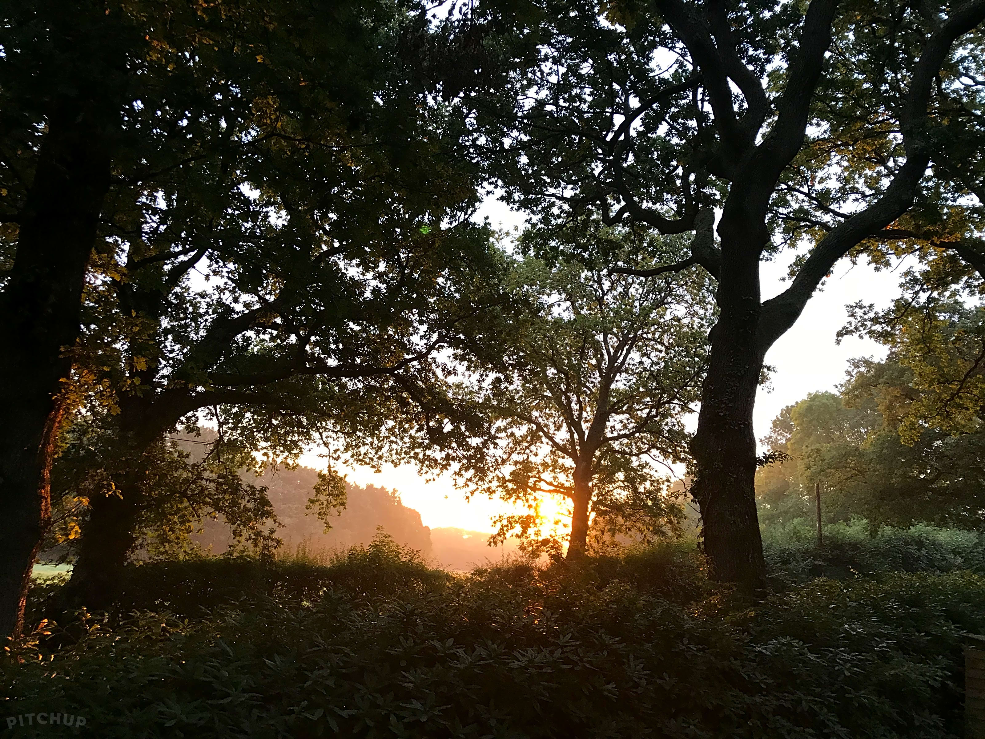 Dapplewood Caravan Site Wimborne Updated 2019 Prices