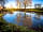 The Wildings Elms Meadow: The pond (photo added by manager on 07/03/2022)