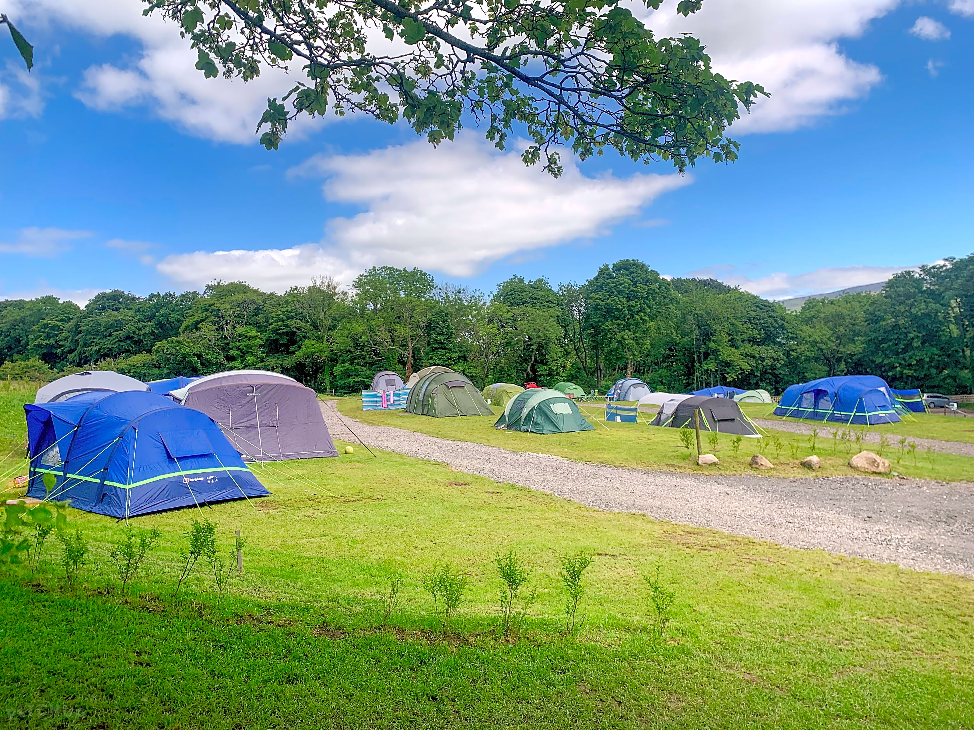 Pitch up on sale campsite