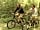 Beleef Lauwersoog: Ride a bike in the national park