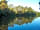 California Chalet and Touring Park: Lake view