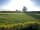 Howgrave Hall Caravan Park: Pitches
