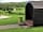 Star Glamping: Most of tge rabbits ran away but came back