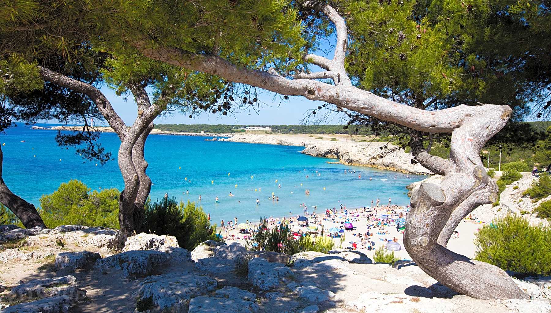 Get Platja tematica signes HD