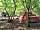 Nightingales Rustic Camping