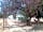 The Olive Garden: Under the pepper tree looking out at the bell tents