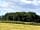 Clay Farm: Views of the deer (photo added by kelly_m374528 on 01/09/2020)