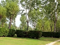 Lovely large private pitches Lovely large private pitches