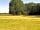 Camping on The Wolds (фото добавлено менеджером 12.08.2020)