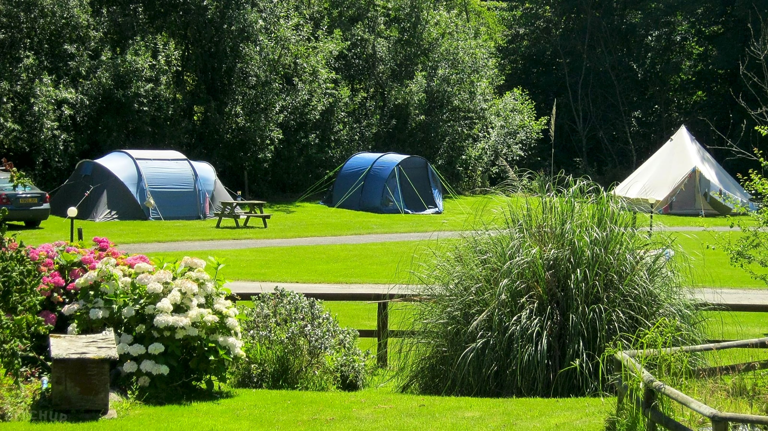 Willow Valley Camping Park, Bude - 423861