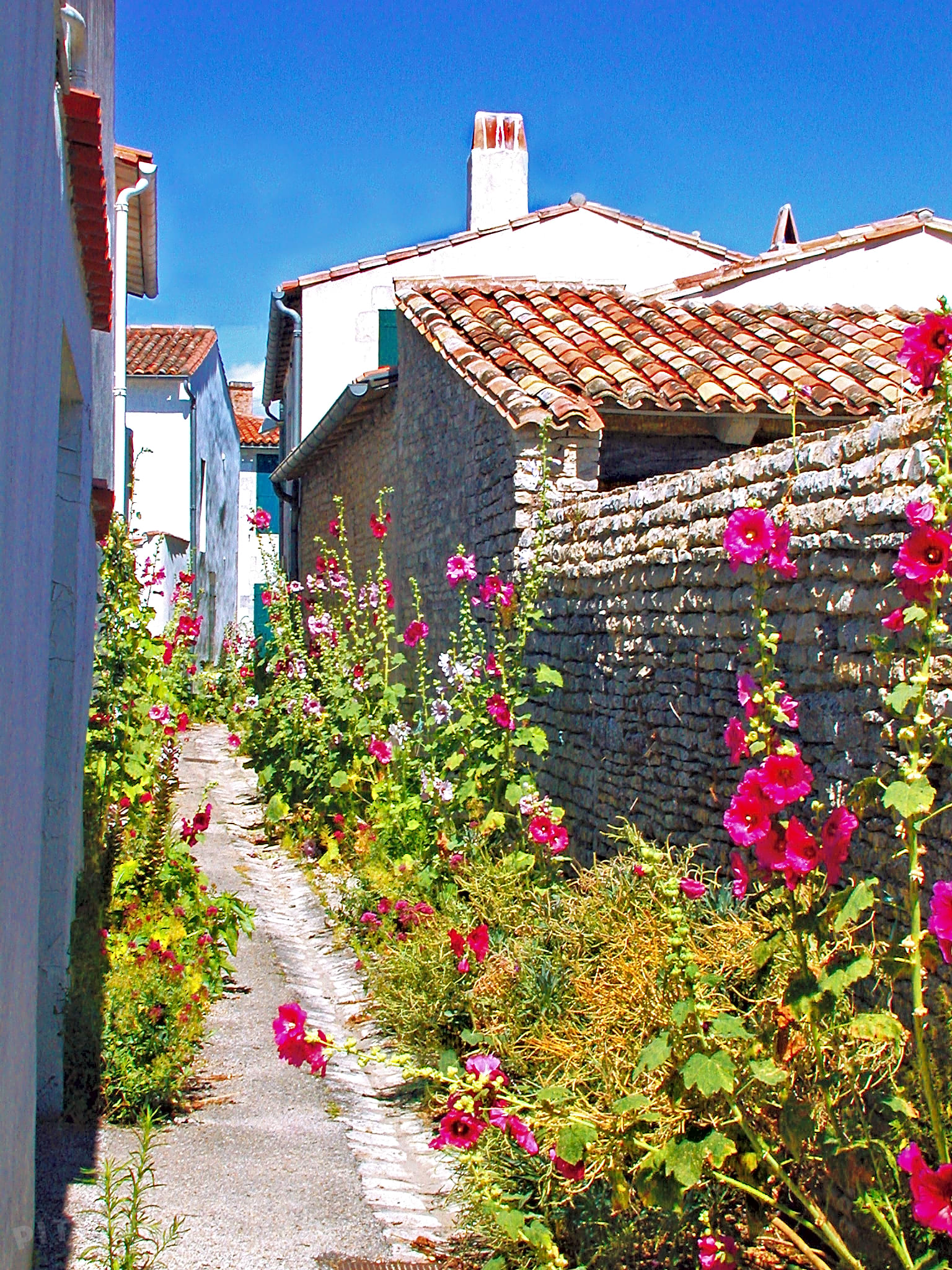 Camping Île de Ré, Les PortesenRé Updated 2020 prices Pitchup® Camping Île de Ré, Les PortesenRé Updated 2020 prices Pitchup®
