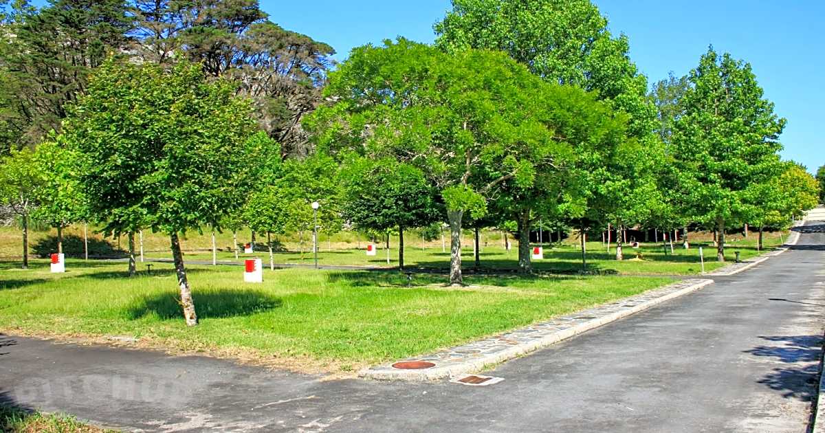 Camping San Francisco, Louro