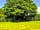 Your Cotswold Adventure: Electric points in the centre of each side of the field