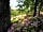 WeCamp San Sebastián: Looking towards the camping field