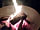 Strawberry Fields Glamping: Each tent has a firepit and some wood to burn. (photo added by  on 06/07/2023)