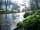 Riverside Country Park: View of the river
