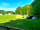 Meadow Tree Farm: Looking out across our field from the toilet block