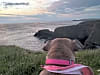 Porthcothan Clifftop Camping (foto adicionada por emma_b263812 em 13/08/2024)