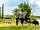 Roadford Lake Campsite: Lots of walks to enjoy