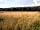 Milkmaid Meadow Campsite: Views on the nature trail