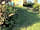 Thorning Farm Glamping and Camping: Buzzard pitch pet friendly (photo added by manager)