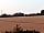 Dummer Down Farm: Views from our pitch