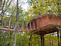 Treehouse footbridge Treehouse footbridge
