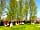 Daisy Bank Touring Park: Camping pods (photo added by manager on 14/02/2017)