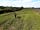 Wheathill Field: Walks on the farm