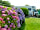 Hendre Mynach Caravan and Camping Park: Flowers around the site (photo added by manager on 21/04/2022)