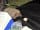 White Mark Farm: Late night visitors