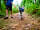 Wild Duck Holiday Park: Dog-friendly woodland walk