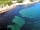 Ninham Country Holidays: South Coast